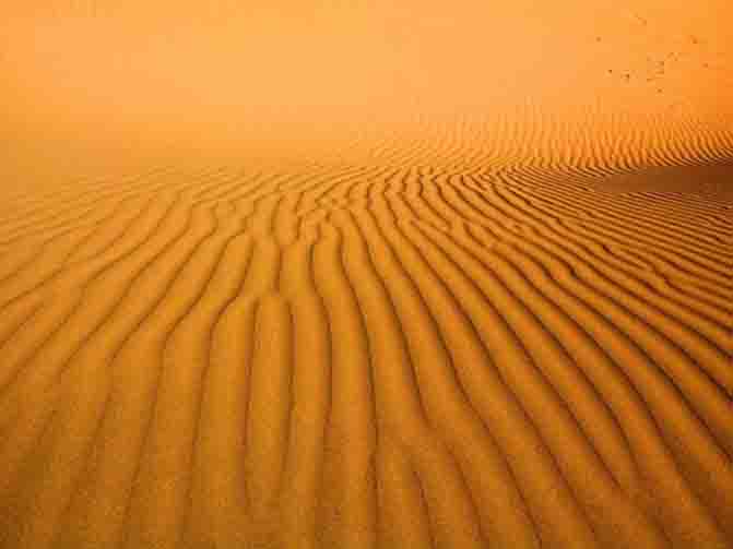 库木塔格沙漠：探秘西域奇景，冬日黄沙漫卷处！