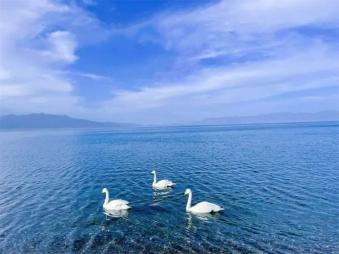 冬季游新疆建议去处